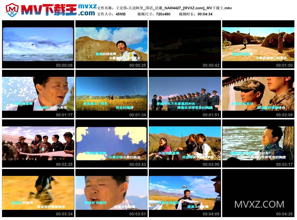 王宏伟-天边阿里_国语_民歌_NAI04427